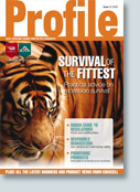 Copywriting for magazines